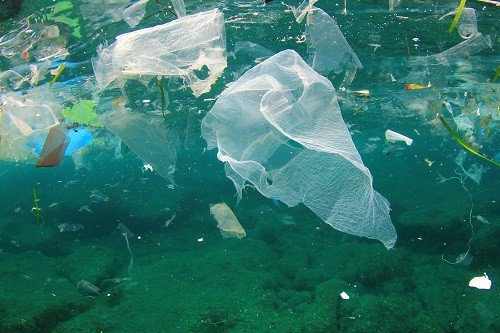 Turning the Tide on Plastic Waste Through Sustainable Acti
