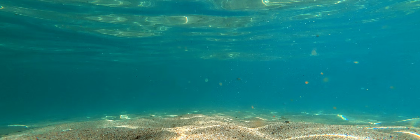 Be Part Of The Movement To Clean Oceans and Restore Nature’s Balance.