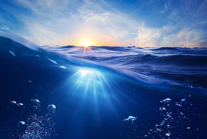 Why Protecting Marine Ecosystems Matters More Than...